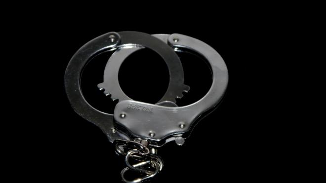 В Лужском районе полицейские задержали иностранца по подозрению в изнасиловании школьницы