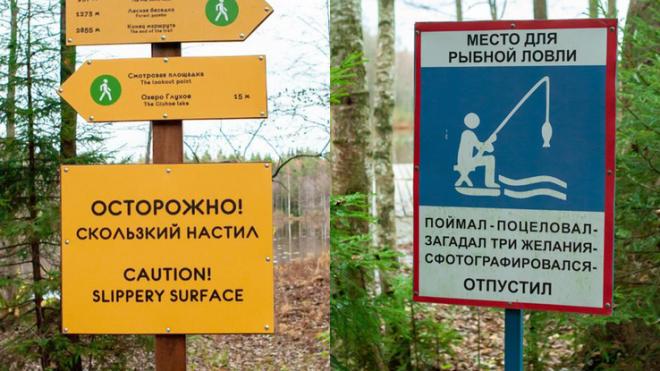 В Ленобласти появятся 47 туристических маршрутов на особо охраняемых природных территориях