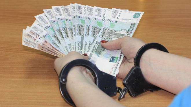 Полиция установила личности семи подозреваемых в деле об обналичивании средств материнского капитала