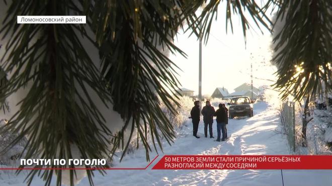 Жители деревни Капорское спорят из-за участка земли