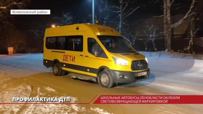 Школьные автобусы Ленобласти оклеили световозвращающей маркировкой