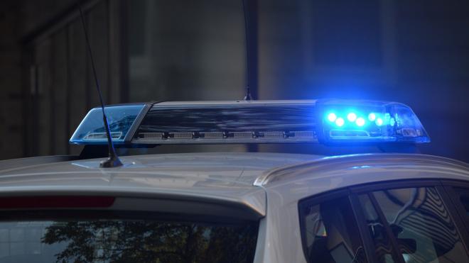 Полицейские задержали пятерых участников перестрелки в Шлиссельбурге