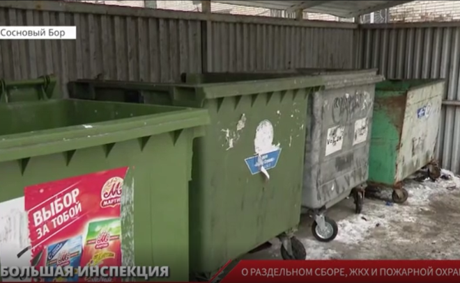 В Сосновом Бору рядом с каждым мусорным контейнером должна появиться видеокамера