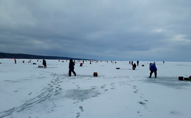 Полсотни рыбаков оказались на льдине среди вод Финского залива