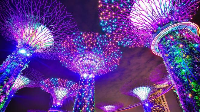 В Сингапуре празднуют китайский Новый год. Какие необычные новогодние традиции соблюдают местные жители