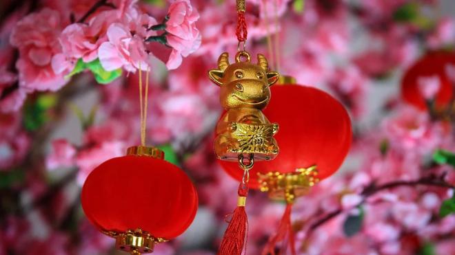 Пельмени, хлопушки и красный конверт: как правильно встречать китайский Новый год 