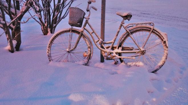 В Гатчине проходит зимняя акция «На работу на велосипеде»