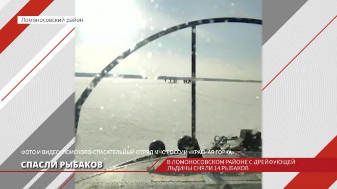 В Ломоносовском районе с дрейфующей льдины сняли 14 рыбаков