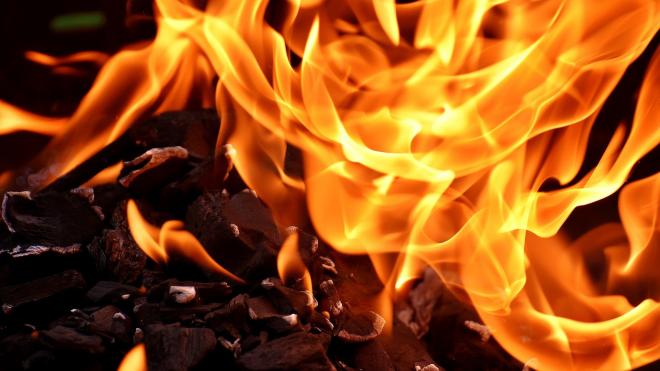 Пожарные ликвидировали возгорание квартиры в Мурино