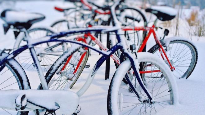 Жителей Ленобласти приглашают принять участие в акции «На работу на велосипеде»