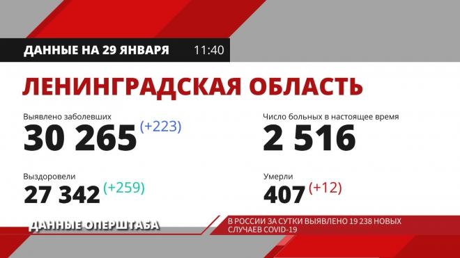 В России за сутки выявлено 19.238 новых случаев Covid-19
