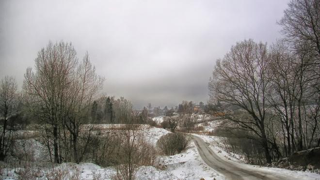 Оттепель отступает: в Ленобласти 28 января будет облачно, пройдет мокрый снег