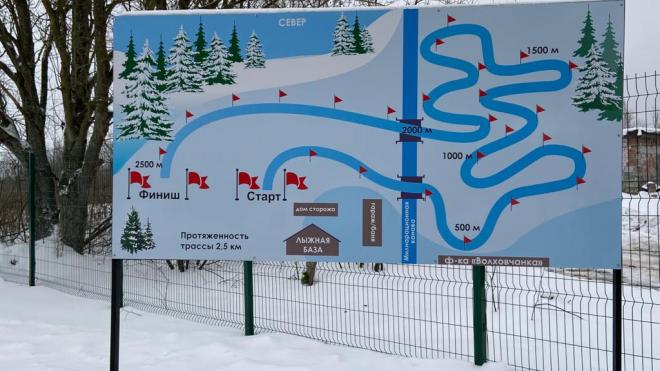 На лыжной базе "Двугорье" в Волхове планируют сделать круглогодичную лыжероллерную трассу