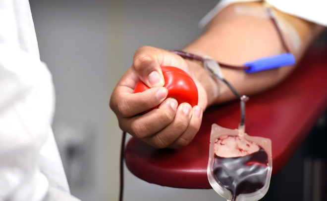 Члены Общественной палаты Ленобласти стали донорами крови