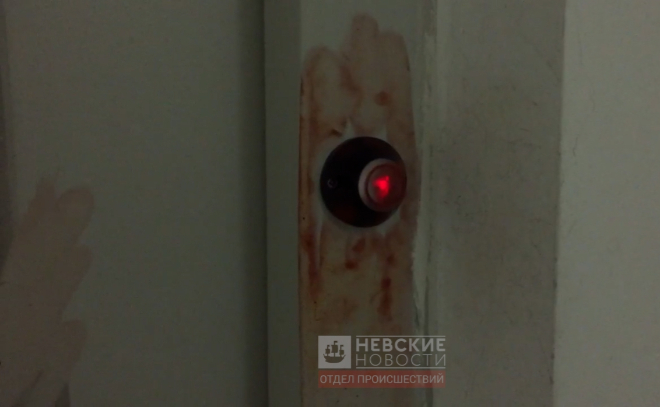 В Петербурге неизвестные убили бизнесмена и ограбили его квартиру