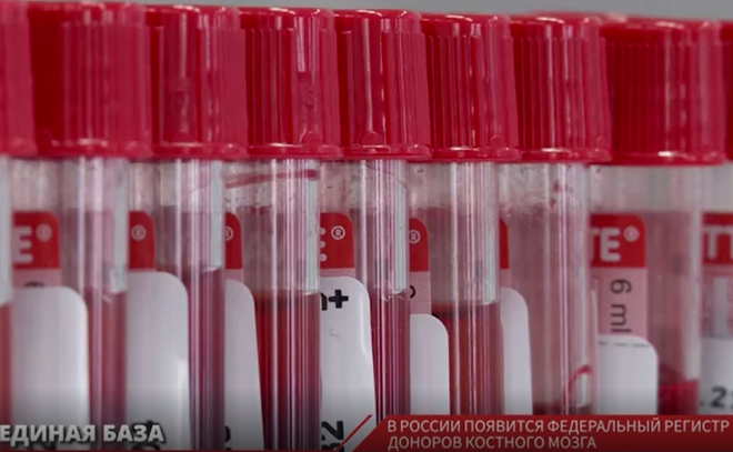 В России появится федеральный регистр доноров костного мозга