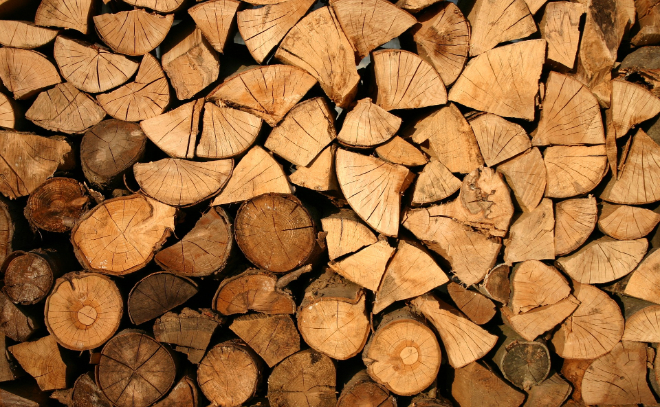 В Волхове прокуратура обязала лесозаготовителя оплатить 1,5 миллиона задолженности
