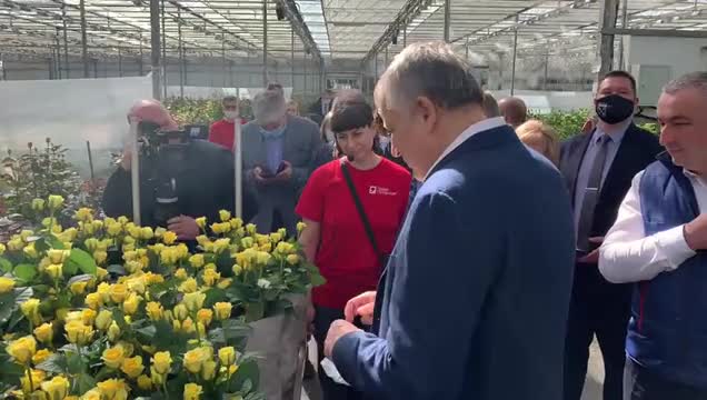 Губернатор Ленинградской области осмотрел цветочный комплекс «Новая Голландия» в Сясьстрое