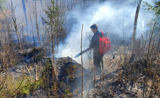 В Приозерском районе пожарные потушили горящую траву