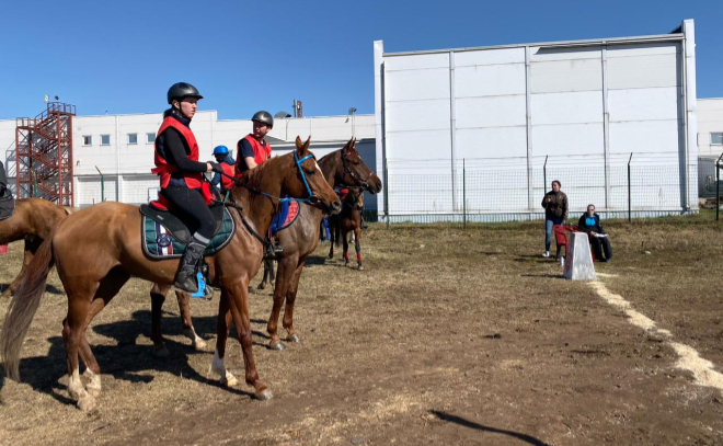 Чемпионат по конному спорту проходит во Всеволожском районе Ленобласти