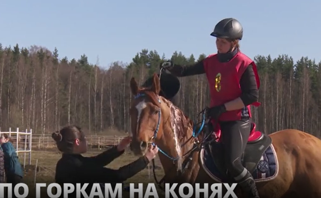 Во Всеволожском районе прошёл
Чемпионат Ленинградской области по конному спорту