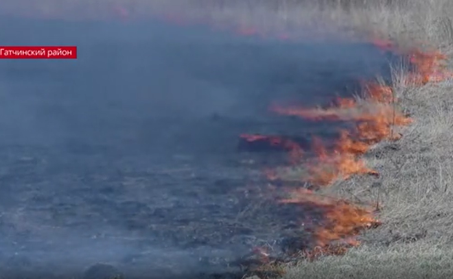 В Ленинградской области горит трава
