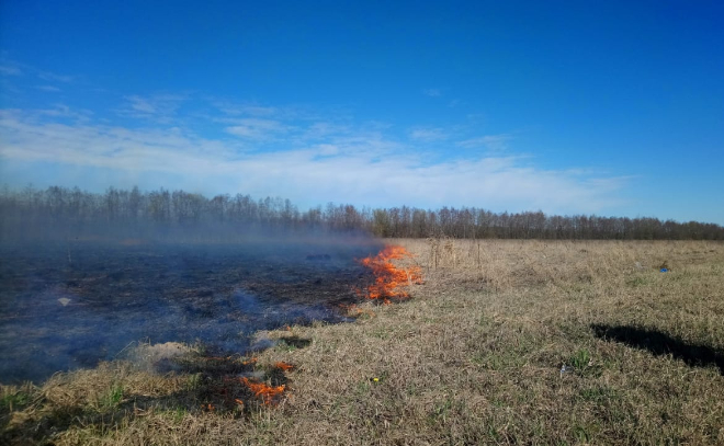 За два дня в полях Гатчинского района произошло более 60 возгораний