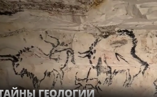 В Саблинских пещерах прошла экологическая игра на тему древних морей