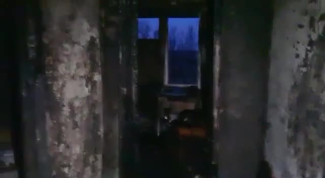 В Тосненском районе возбуждено уголовное дело после гибели в пожаре двух подростков