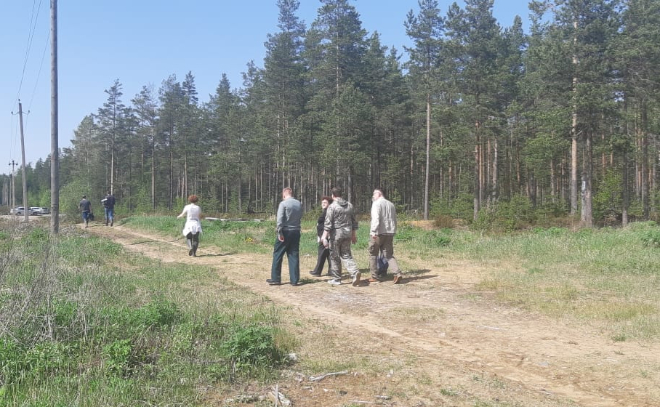 В Ленинградской области высадят 64 га деревьев