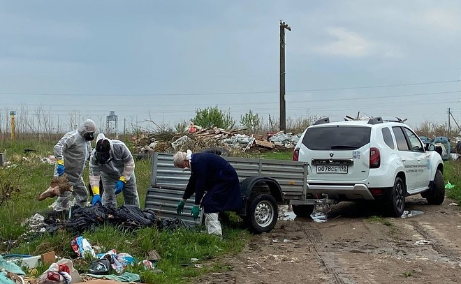 С нелегальной свалки в Ломоносовском районе вывезли более 100 килограммов коровьих голов