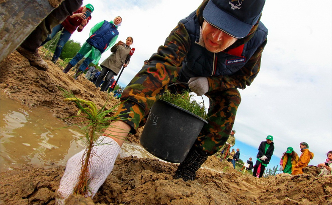 Репортаж: в Ленобласти проходит экологическая акция “Всероссийский день посадки леса”