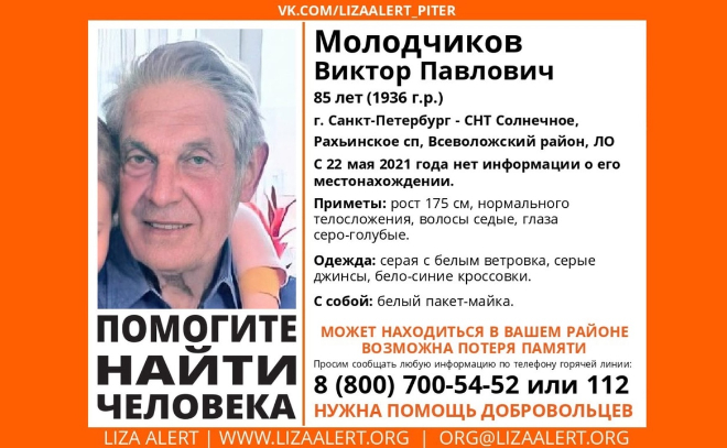 Во Всеволожском районе Ленобласти и Петербурге ищут 85-летнего пенсионера