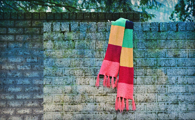 Экомаршрут в Монрепо украсят рукодельные шарфы
