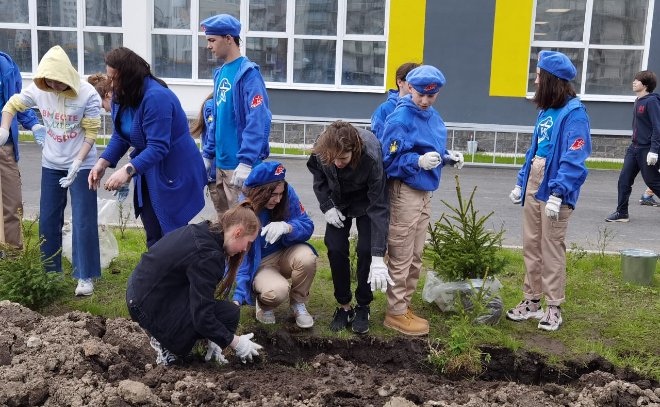 Волонтёры Ленинградской области присоединились к международной акции «Сад памяти»