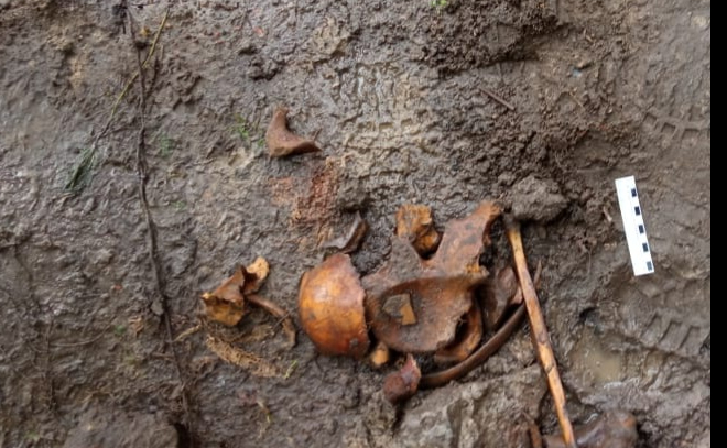 В Ивангороде нашли кости нескольких человек