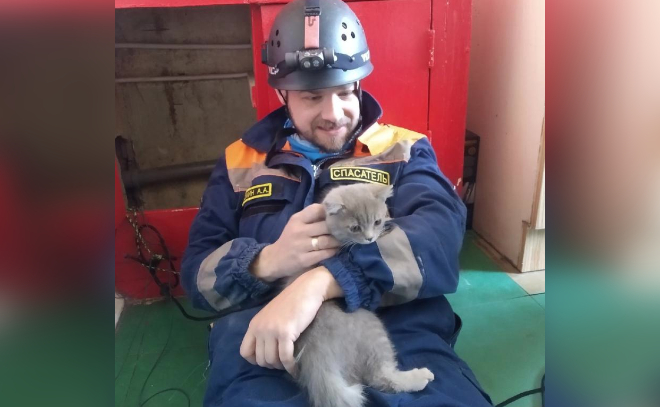 В Петербурге спасли двухмесячного котенка, застрявшего в вентиляционной шахте