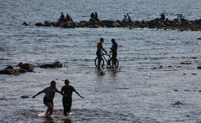 24 пляжа в Петербурге оказались опасными для купания
