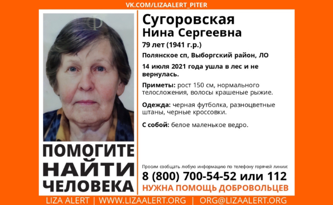 В Выборгском районе из леса не вернулась 79-летняя пенсионерка