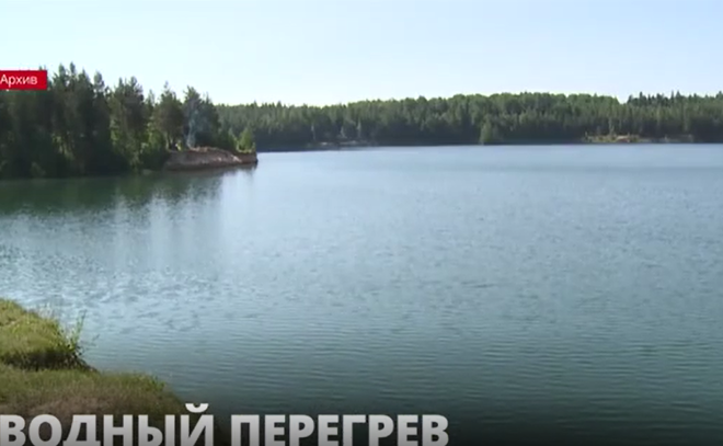 Аномальная жара, которая стояла в Петербурге и Ленобласти больше месяца, перегрела водоёмы