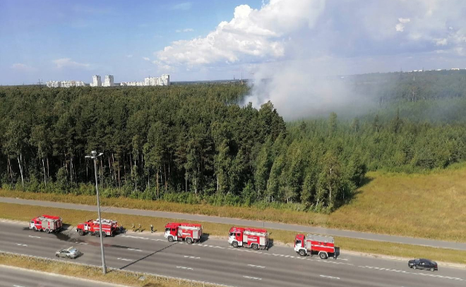 Загорелся лес у Орлово-Денисовского проспекта в Петербурге