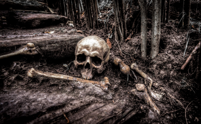 В Выборгском районе мужчина нашел на своем участке мумифицированный труп