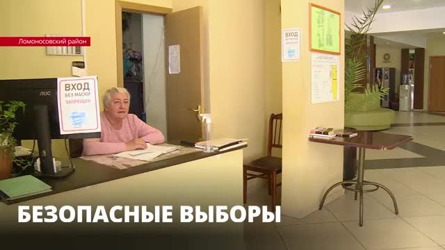 В Ломоносовский район привезли первую партию масок, которые раздадут избирателям для безопасного голосования