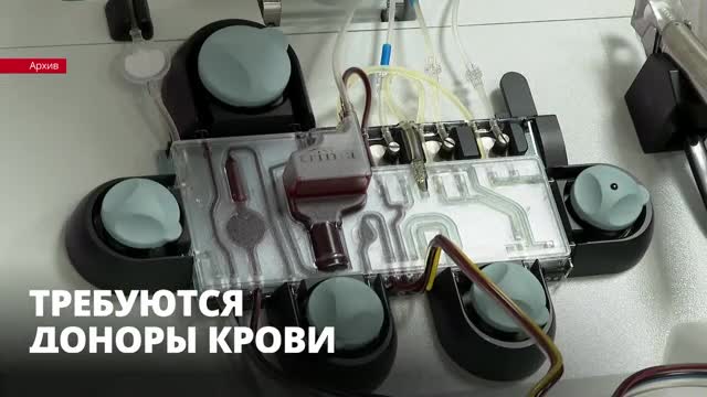 В больницах Ленобласти и Петербурга нехватка донорской крови