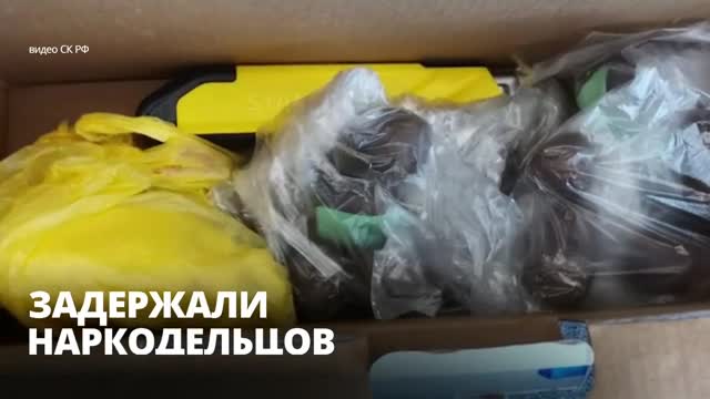 Пять человек, включая полицейского, задержаны в Петербурге по делу об обороте наркотиков