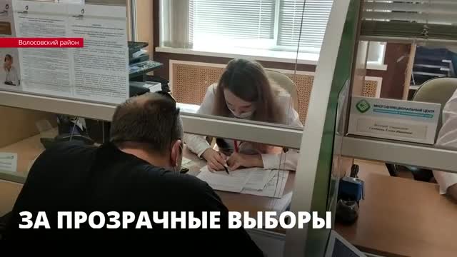 Услугой «Мобильный избиратель» в Ленобласти воспользовались 2 139 человек