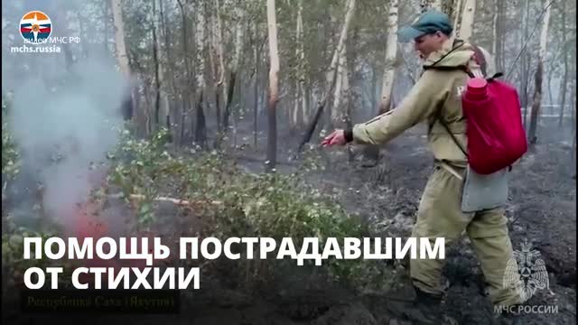 Пожары и наводнения. Владимир Путин поручил помочь пострадавшим регионам
