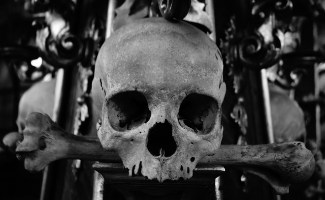 В Тихвине во время ремонта дороги нашли человеческие кости и череп