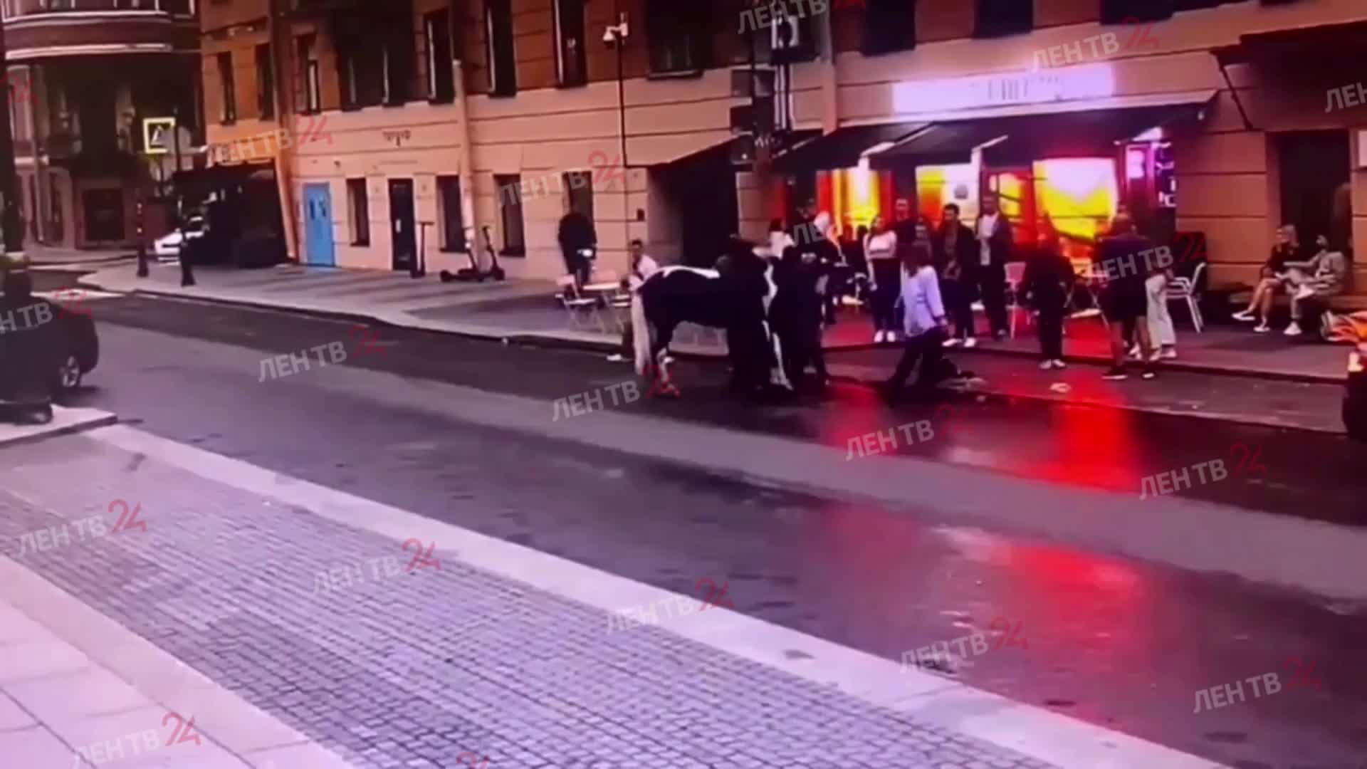 Битву за лошадь устроили неадекватные мужчины в центре Петербурга. Больше всех досталось животному