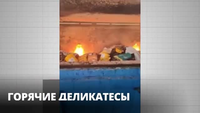 Более 115 килограммов «санкционки» изъяли и сожгли в Петербурге и Ленобласти